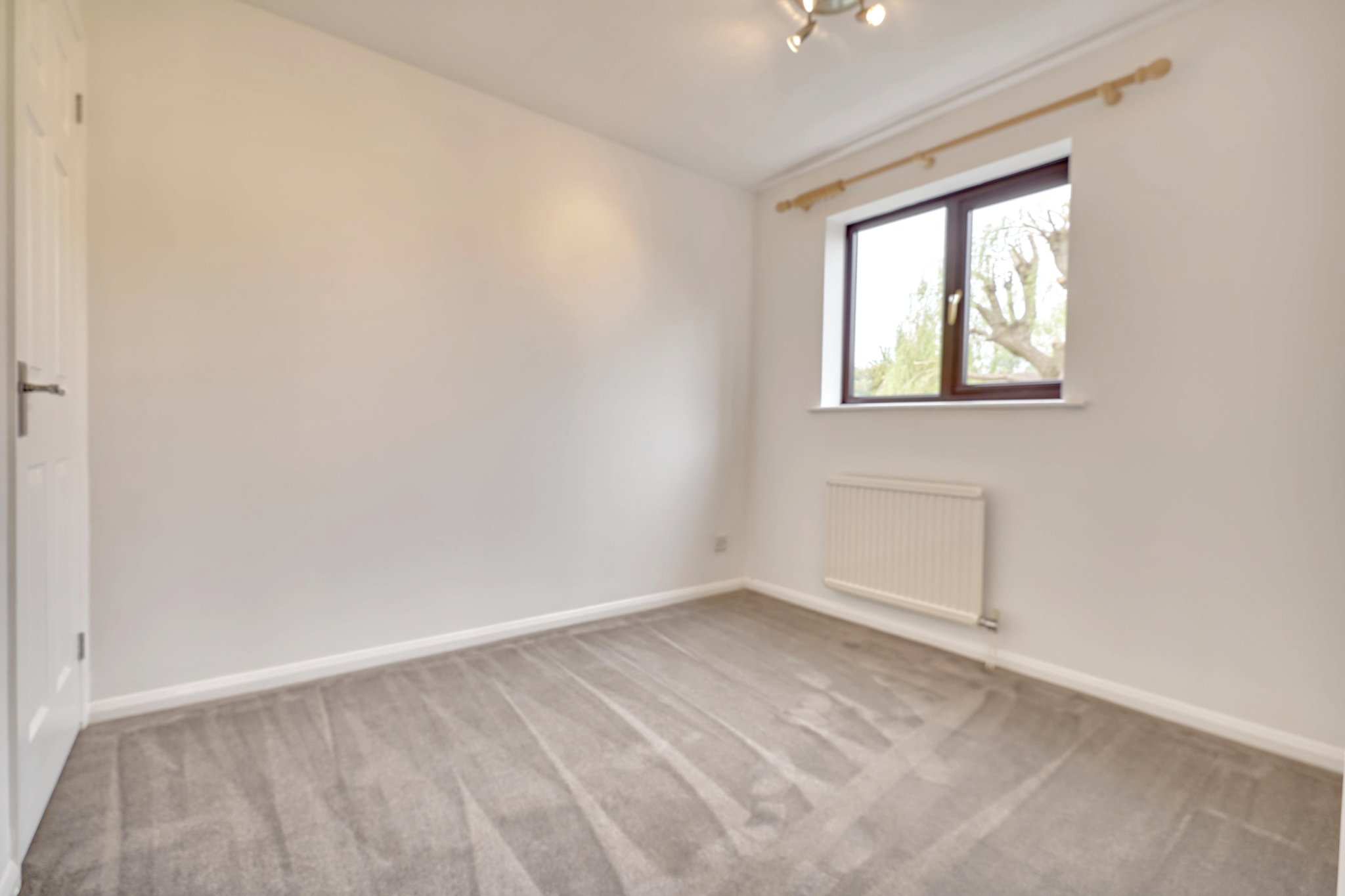 30328346_56300500.jpg