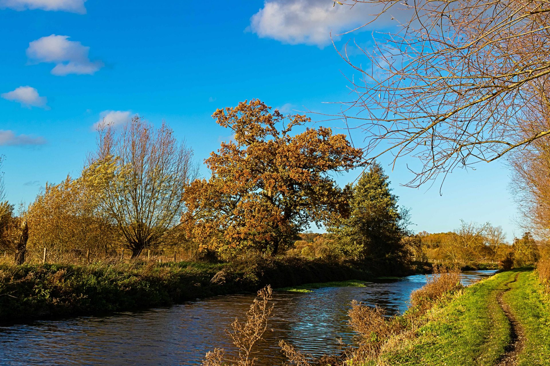 /content/uploads/bishop_stortford_canal2-1920x1280.jpg